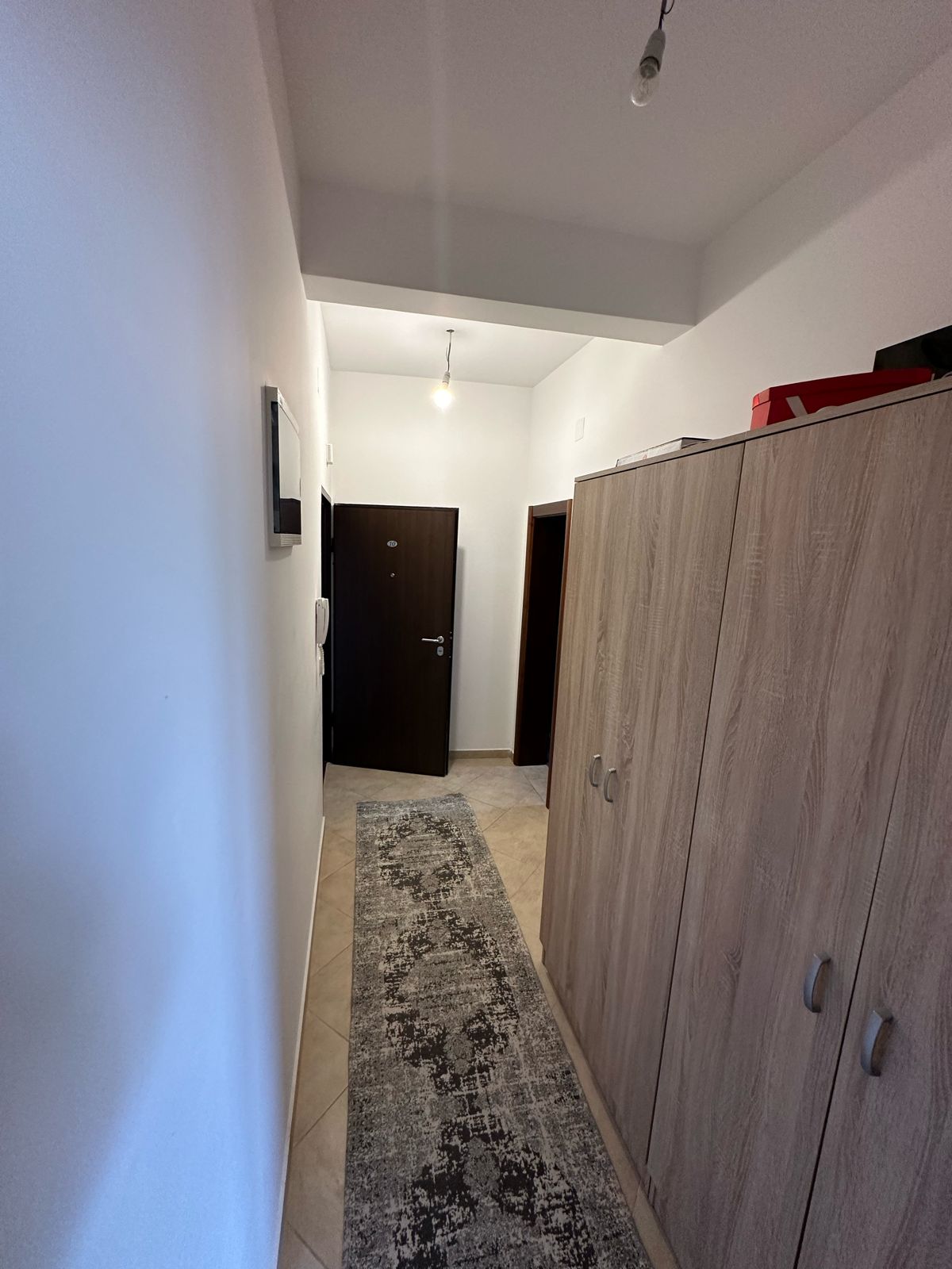 Bright hallway with white walls, modern gray rug, ample storage, and secure door&mdash;investment-ready property in Ulcinj by Ekosphere DOO.