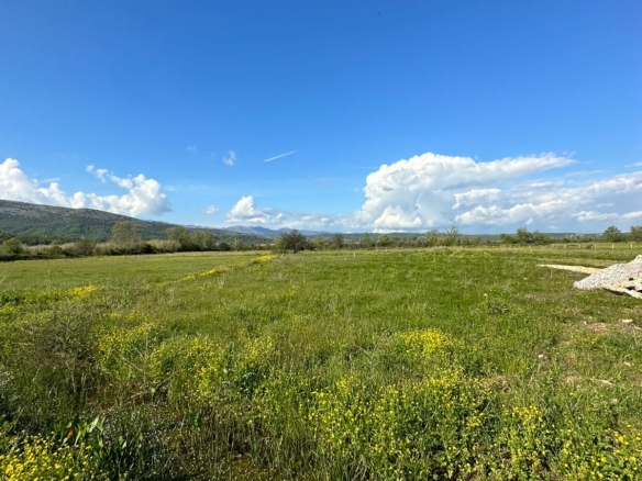 Sunlit plot with wildflowers in Ulcinj, Montenegro—prime real estate investment near properties. Listed by ekosphere doo.