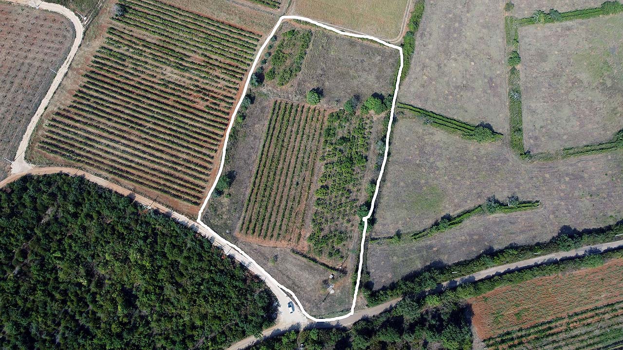 Erstklassige Landinvestition in Ulcinj: wei&szlig; umrandetes Feld, fruchtbarer Boden, einfacher Stra&szlig;enzugang. Exklusiv auf immobilien.ekosphere.me von ekosphere doo. 