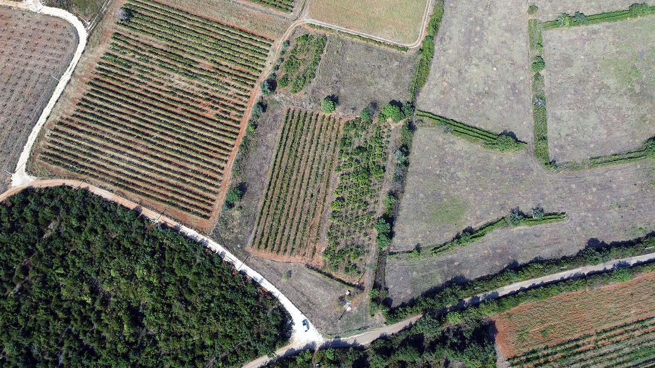 Prime Ulcinj land for sale: fertile fields, crop rows, road access, and nearby homes. Invest via immobilien.ekosphere.me by Ekosphere doo.