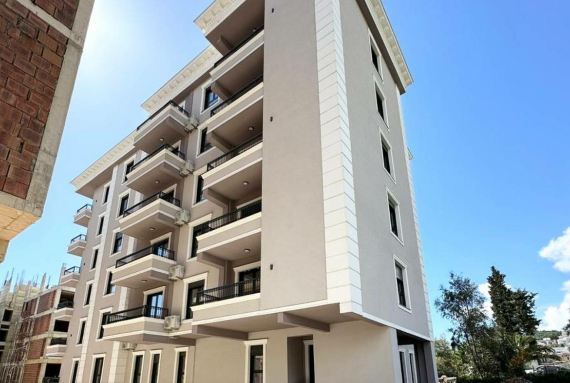 New Project 1 1 1170x785