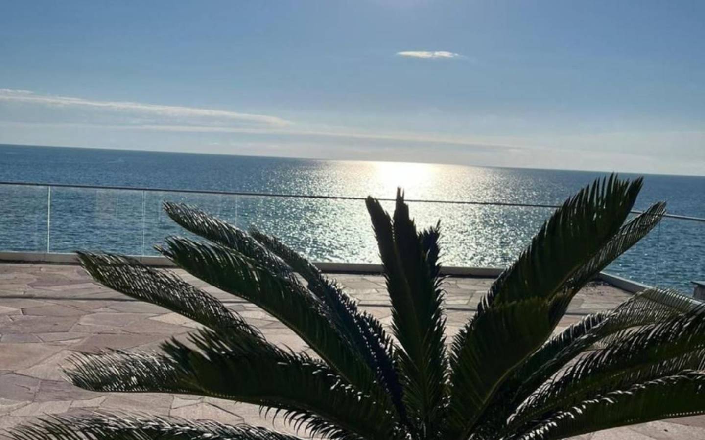 Elegante Steinterrasse mit Glasgel&auml;nder und Palme, die einen atemberaubenden Blick auf die Adria bietet &ndash; exklusive Immobilie in Ulcinj auf immobilien.ekosphere.me von Ekosphere doo.