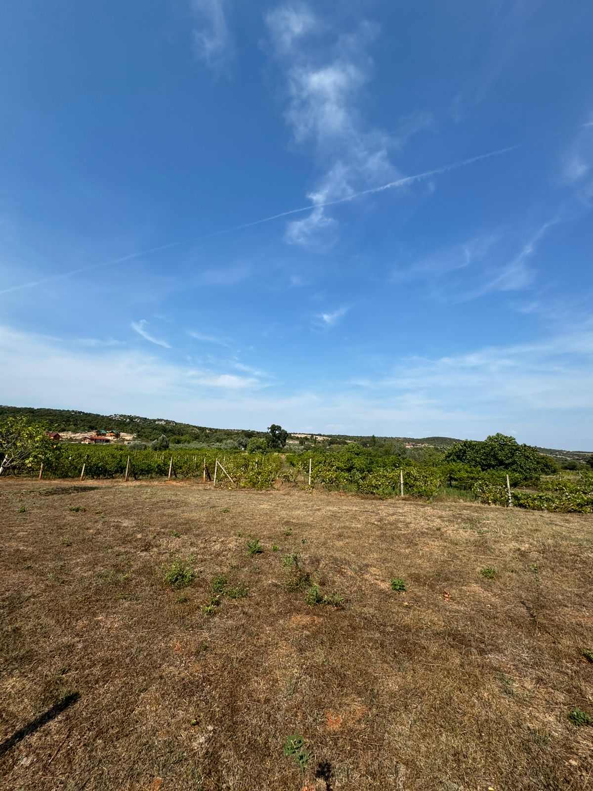 Prime Ulcinj land for sale&mdash;spacious plot with panoramic views, investment potential. Listing by Ekosphere doo on immobilien.ekosphere.me.