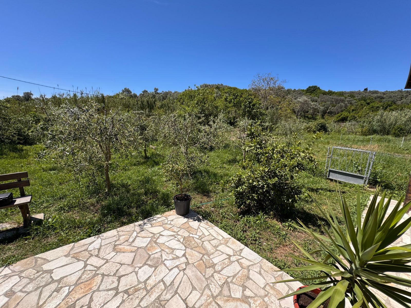 Charming stone patio with lush yard views in Ulcinj&mdash;prime Montenegro investment. Exclusive on immobilien.ekosphere.me by ekosphere doo.