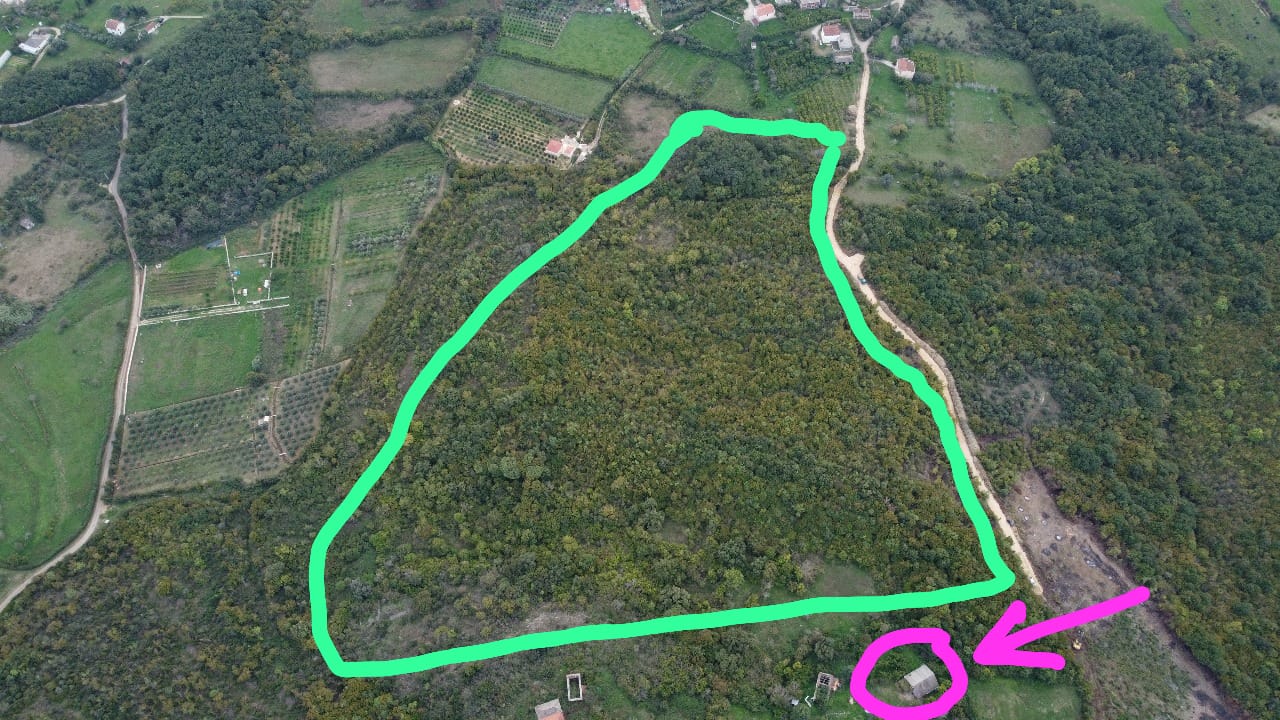 Prime forested real estate in Ulcinj, Montenegro&mdash;outlined in green, with a featured Ekosphere investment from immobilien.ekosphere.me.