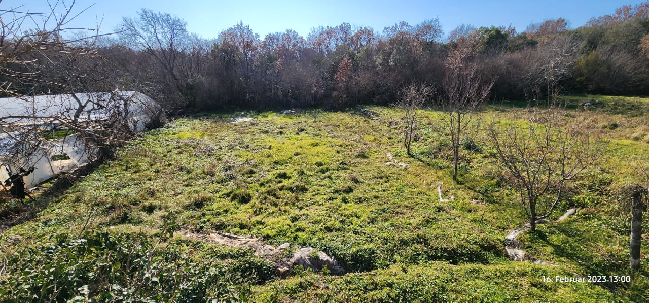 Prime investment opportunity: spacious Ulcinj field, sparse trees, greenhouse & clear skies. Listed on immobilien.ekosphere.me by ekosphere doo.