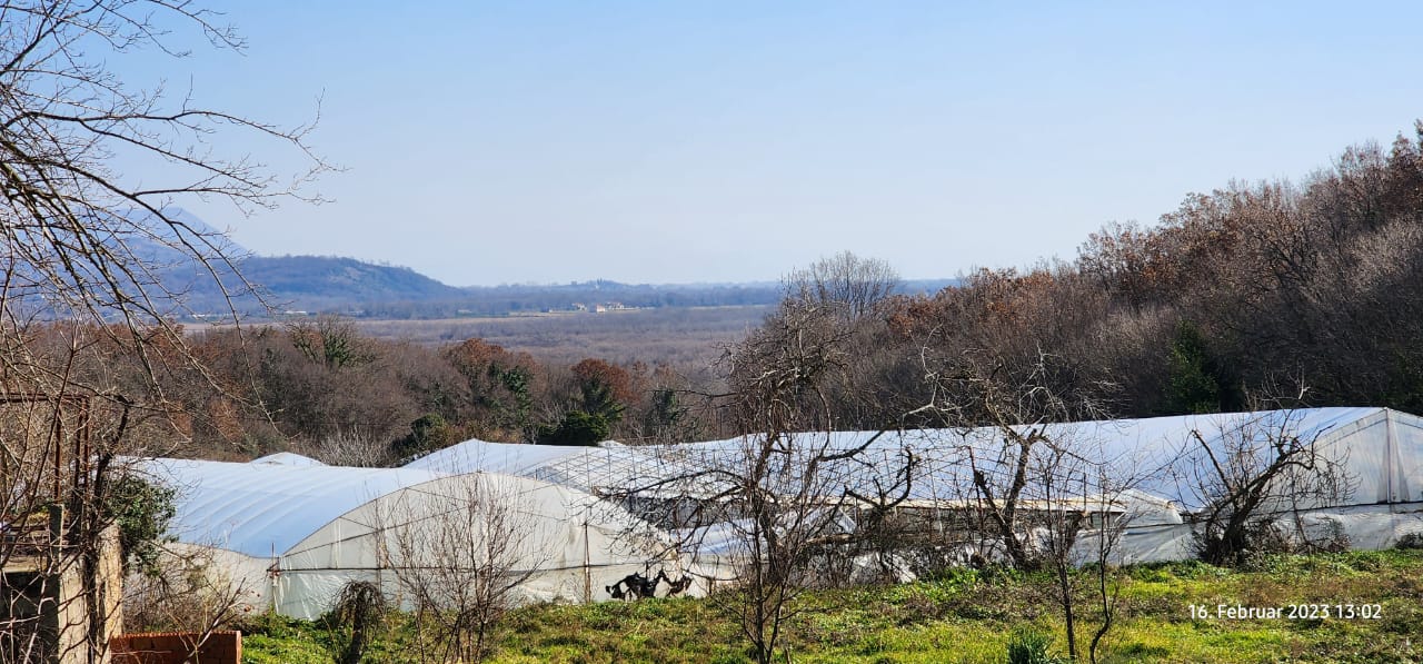 Prime investment opportunity in Ulcinj: expansive greenhouses, verdant land, panoramic hills&mdash;exclusive on immobilien.ekosphere.me by Ekosphere.