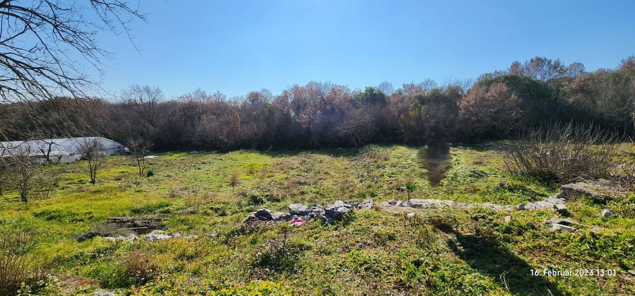 Prime investment land in Ulcinj, Montenegro&mdash;sunny, spacious clearing with natural features. Listed on immobilien.ekosphere.me by ekosphere doo.