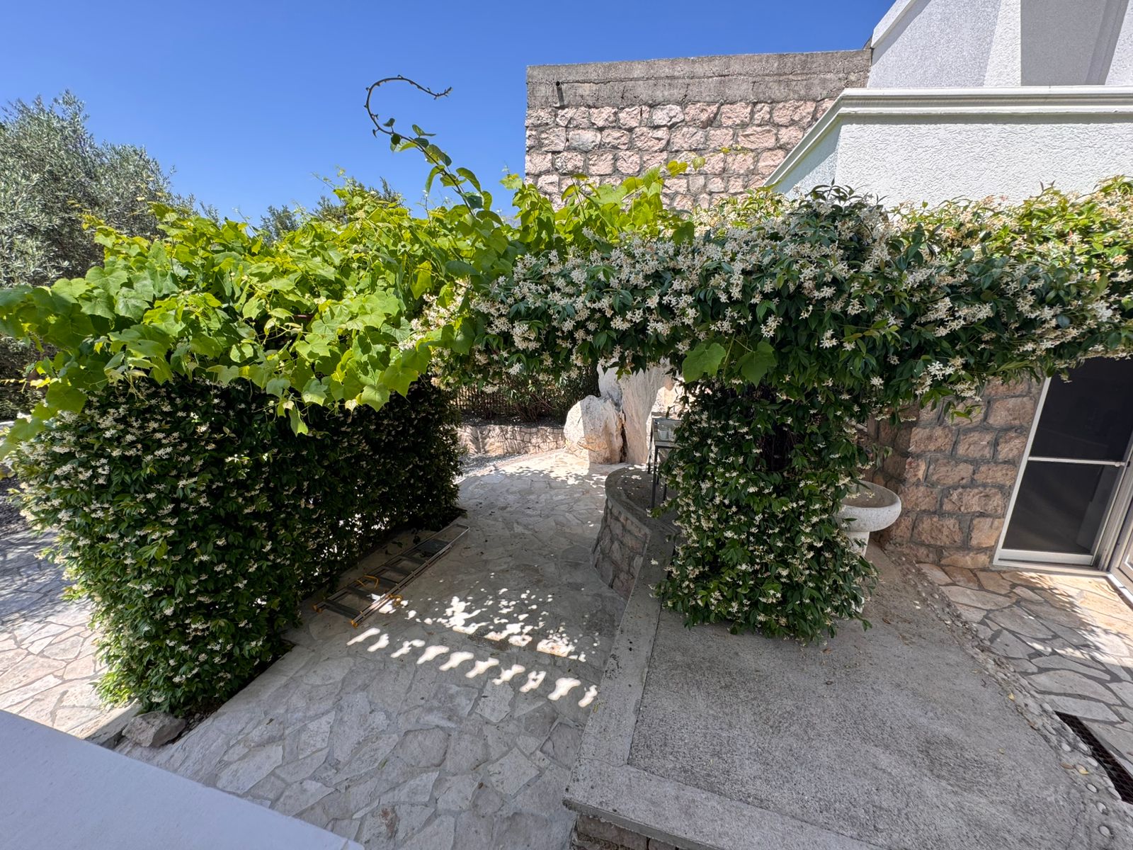 Discover this picturesque stone patio in Ulcinj with lush vines, well, and glass door&mdash;exclusive from immobilien.ekosphere.me by Ekosphere.