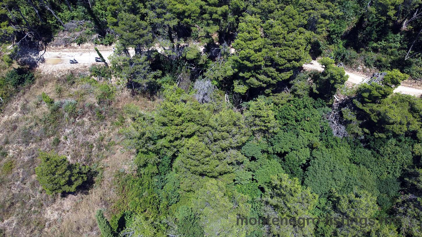 Aerial view of prime Ulcinj property sites amid lush forest, ideal for investment. Presented by ekosphere doo on immobilien.ekosphere.me.