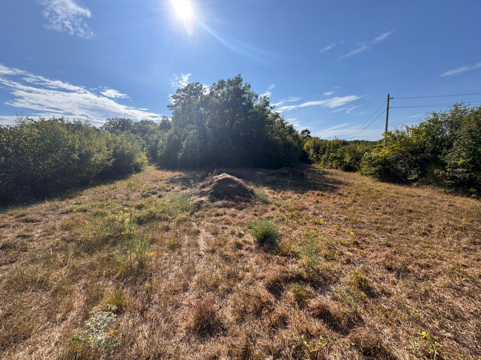 Prime investment opportunity: sunny Ulcinj Montenegro land with utilities, lush borders, on immobilien.ekosphere.me by ekosphere doo.