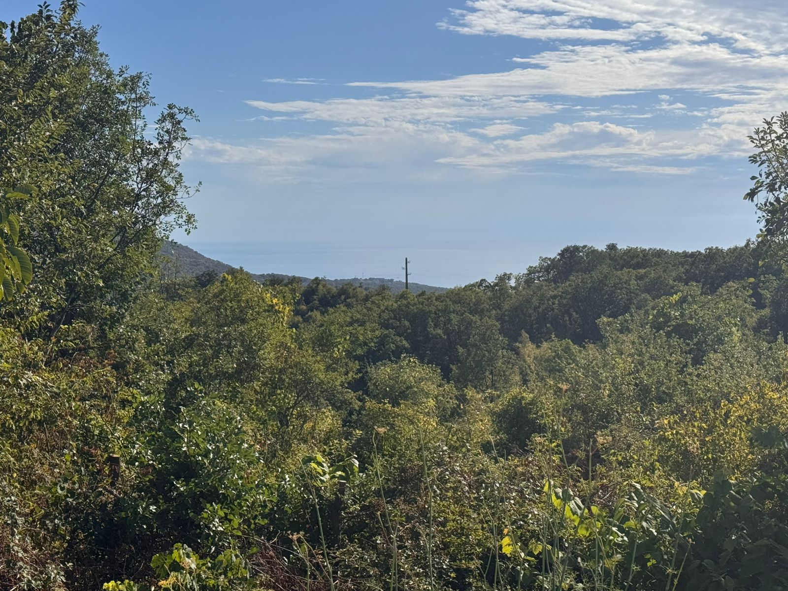 Scenic Ulcinj land for sale: lush forest, sea view, hill vistas&mdash;prime Montenegro real estate by immobilien.ekosphere.me (Ekosphere DOO).