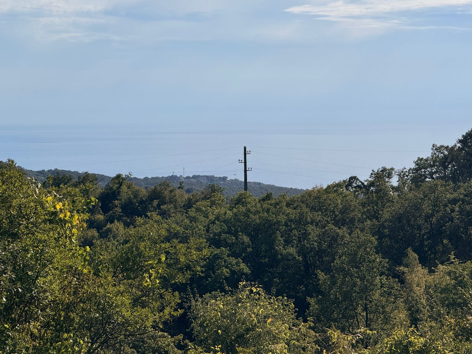 Discover prime Ulcinj real estate: lush greenery, panoramic horizon and sea views&mdash;exclusive listings by immobilien.ekosphere.me, a project of ekosphere doo.