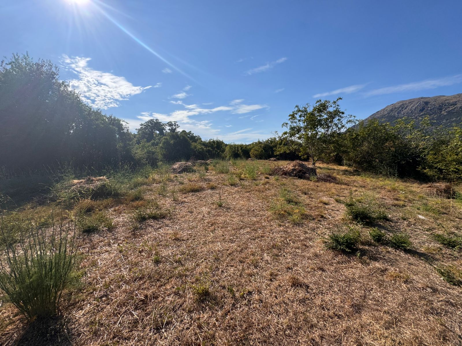 Prime Ulcinj, Montenegro land: sunny, open clearing with mountain views&mdash;top real estate investment via immobilien.ekosphere.me by Ekosphere doo.