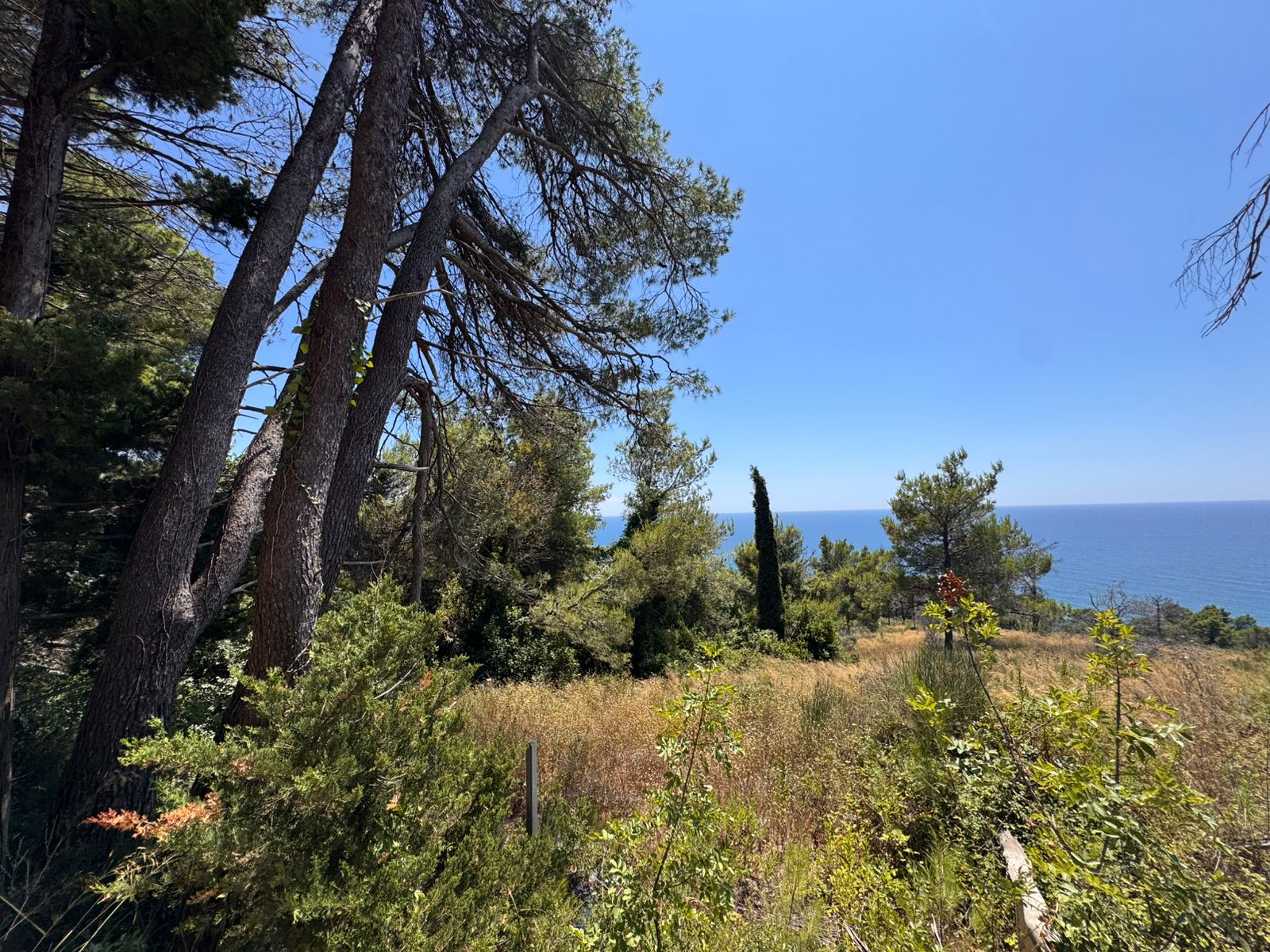 Stunning Ulcinj hillside properties for sale, surrounded by lush greenery and sea views. Invest with immobilien.ekosphere.me by ekosphere doo.