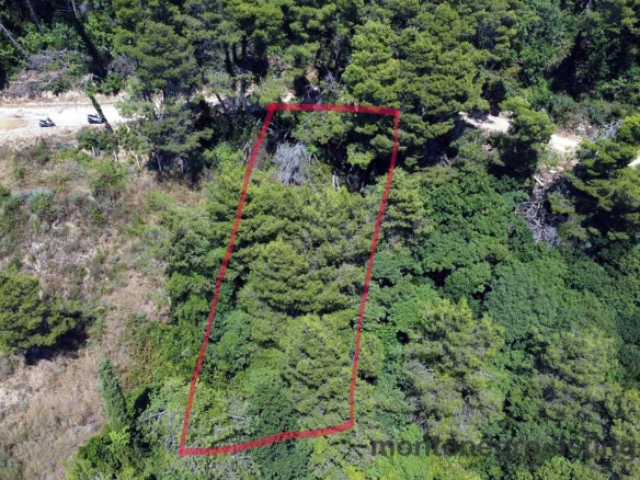 Prime rectangular land in Ulcinj, Montenegro, outlined in red, bordered by lush greenery and road—exclusive on immobilien.ekosphere.me, a project of Ekosphere doo.