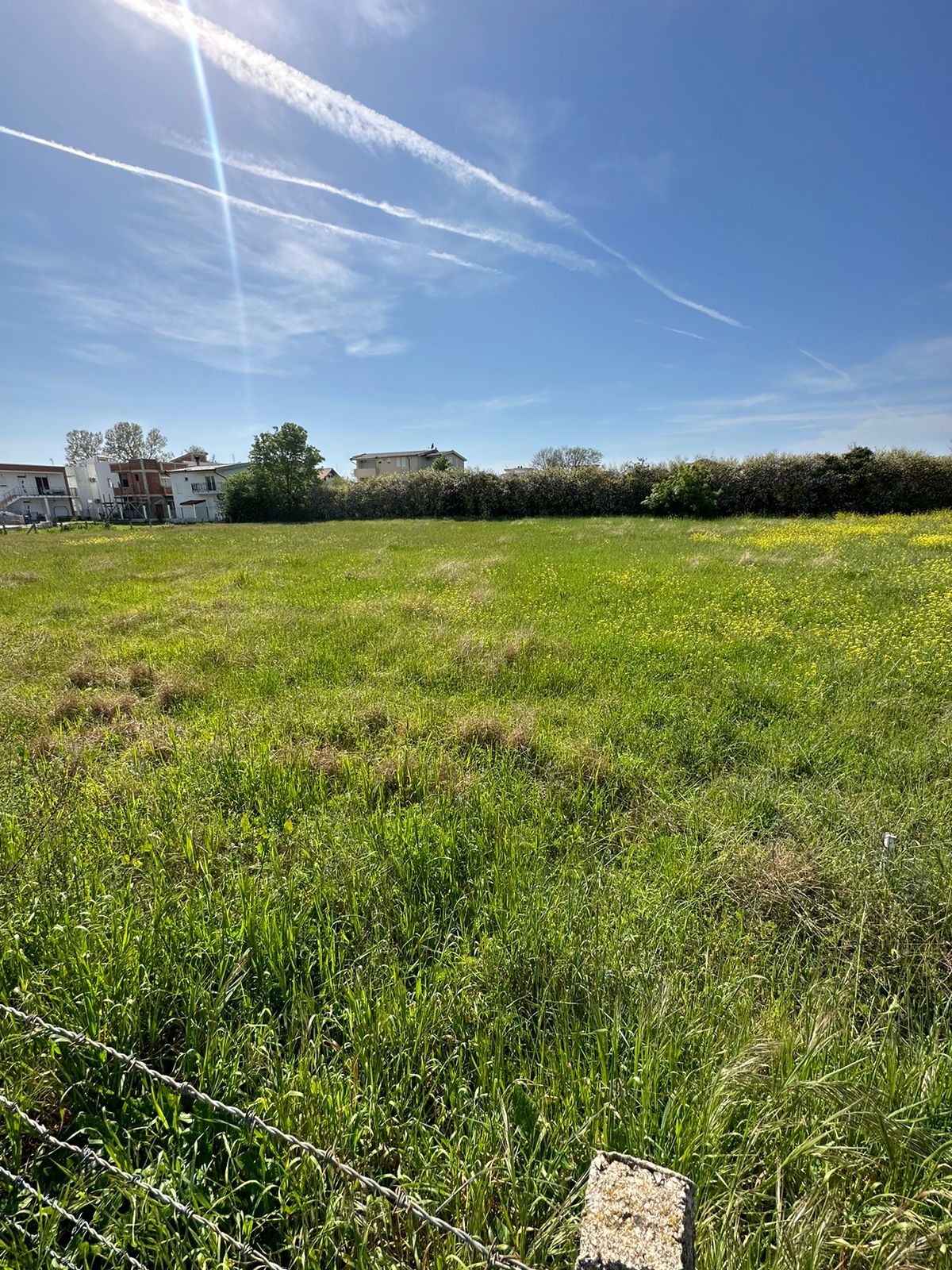 Prime investment opportunity in Ulcinj, Montenegro: spacious grassy field with wildflowers, nearby houses. eksosphere doo project.