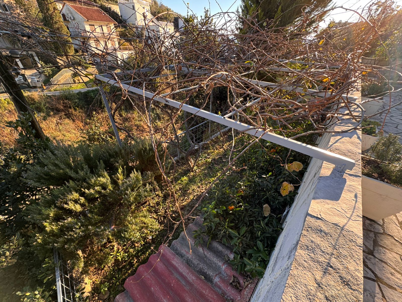 Elevated view of a sunlit Ulcinj garden with lush shrubs, yellow blooms, stone steps&mdash;prime Montenegro real estate by ekosphere doo.